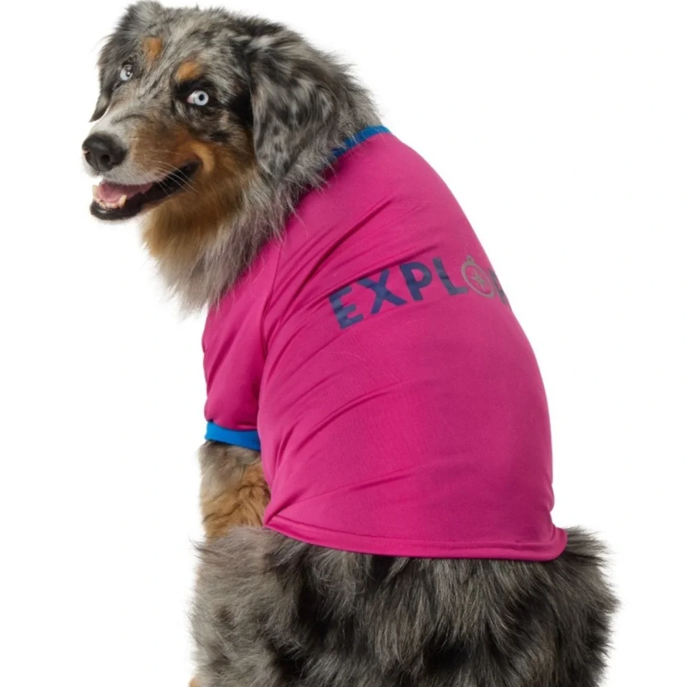 New Top Paw EXPLORE Bright & Breezy dog t-shirt S
